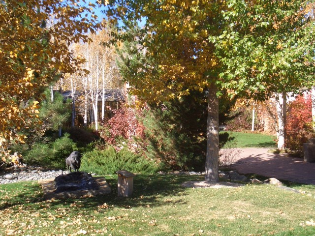 Oct 2007 Cody 3-15 BBHC Cashman Greever Garden.jpg