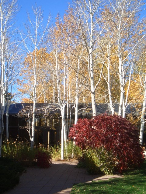 Oct 2007 Cody 3-16 BBHC Cashman Greever Garden.jpg