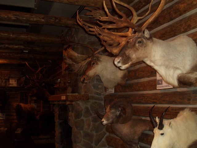 Oct 2007 Cody 4-11 BBHC Cody Firearms Museum (CFM).jpg