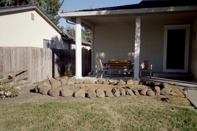 03-jul japanese maple bed1 start.JPG