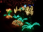 Dec 2007 Garden d'Lights 002.jpg