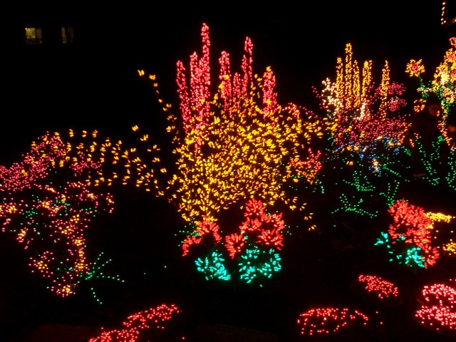 Dec 2007 Garden d'Lights 003.jpg