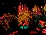 Dec 2007 Garden d'Lights 003.jpg