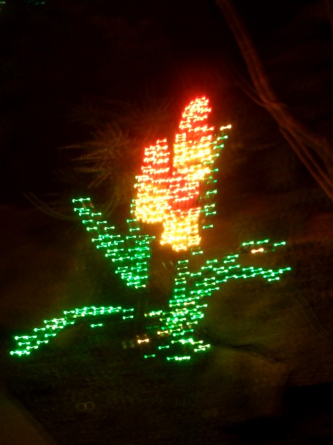 Dec 2007 Garden d'Lights 004.jpg