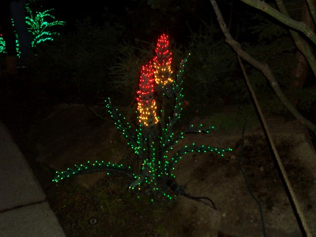Dec 2007 Garden d'Lights 005.jpg