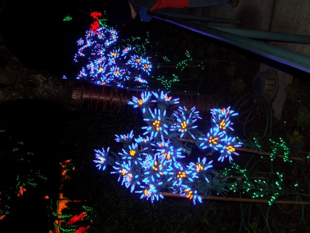 Dec 2007 Garden d'Lights 006.jpg