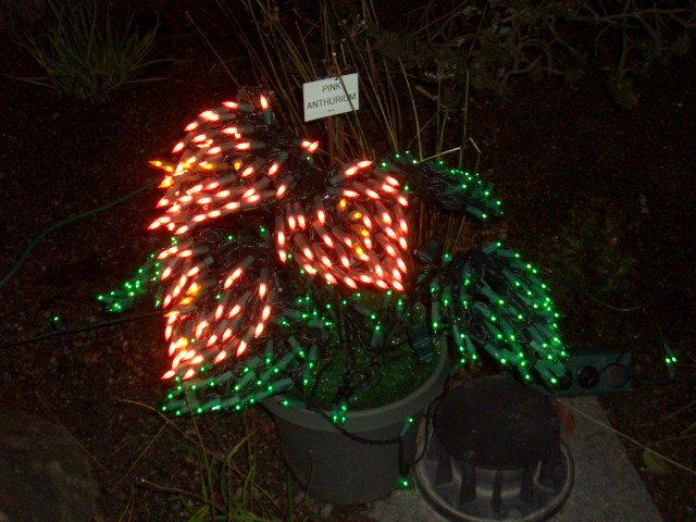 Dec 2007 Garden d'Lights 007.jpg