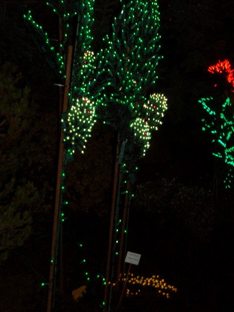 Dec 2007 Garden d'Lights 008.jpg
