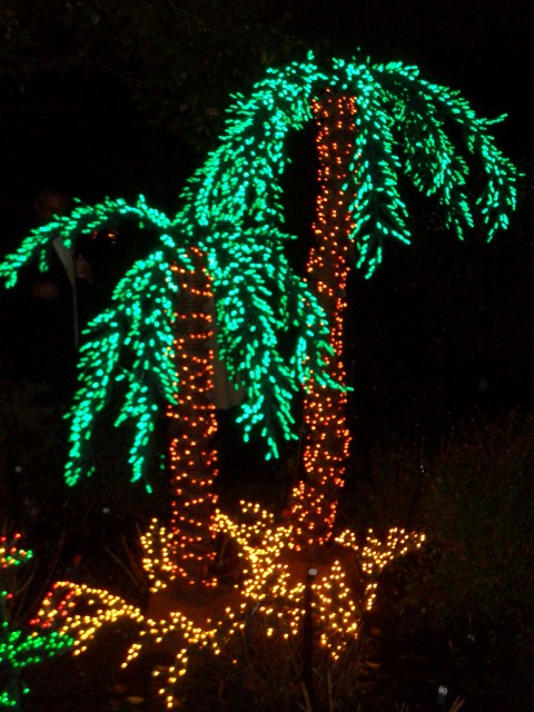 Dec 2007 Garden d'Lights 009.jpg