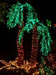 Dec 2007 Garden d'Lights 010.jpg