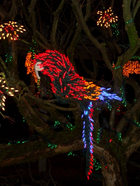 Dec 2007 Garden d'Lights 011.jpg