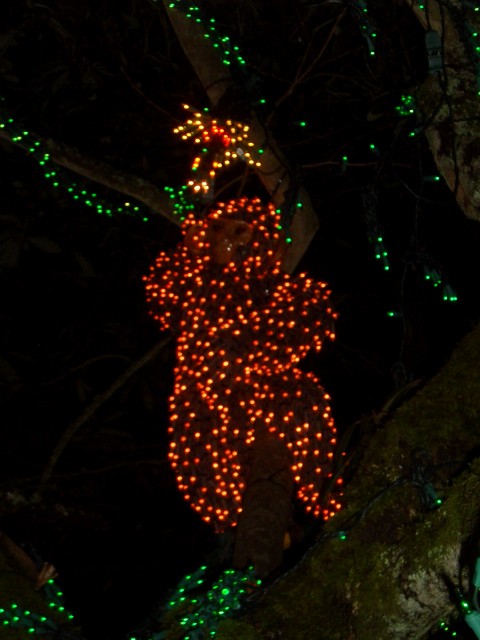 Dec 2007 Garden d'Lights 012.jpg