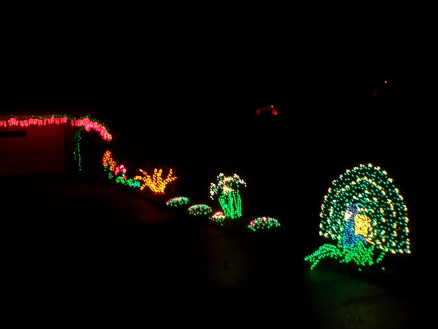 Dec 2007 House Lights 002.jpg