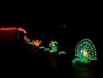 Dec 2007 House Lights 002.jpg