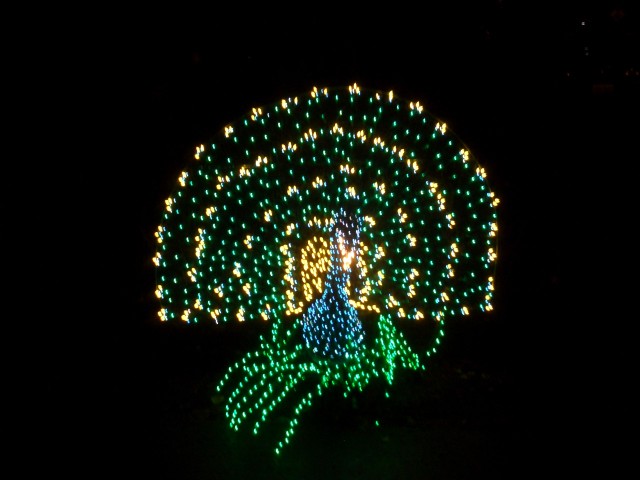 Dec 2007 House Lights 003.jpg