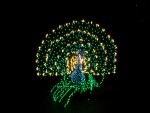 Dec 2007 House Lights 003.jpg