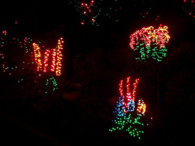 Dec 2007 House Lights 004.jpg