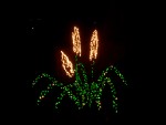 Dec 2007 House Lights 005.jpg