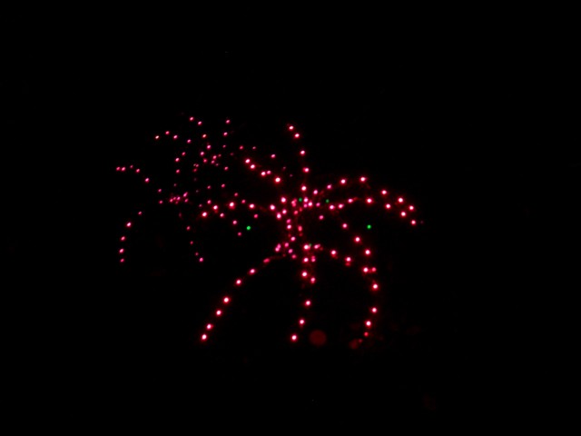 Dec 2007 House Lights 006.jpg