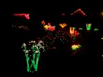 Dec 2007 House Lights 007.jpg