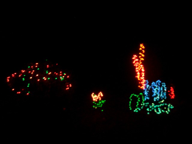 Dec 2007 House Lights 009.jpg
