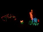 Dec 2007 House Lights 009.jpg