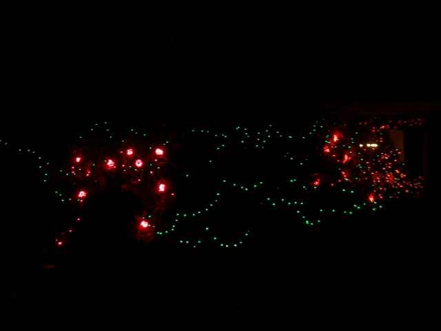 Dec 2007 House Lights 010.jpg