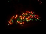 Dec 2007 House Lights 011.jpg