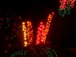 Dec 2007 House Lights 012.jpg