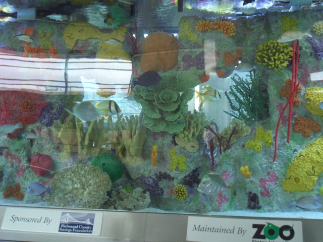 NYC 6-Apr 10 Staten Island - St George Ferry Terminal salt water aquarium.JPG