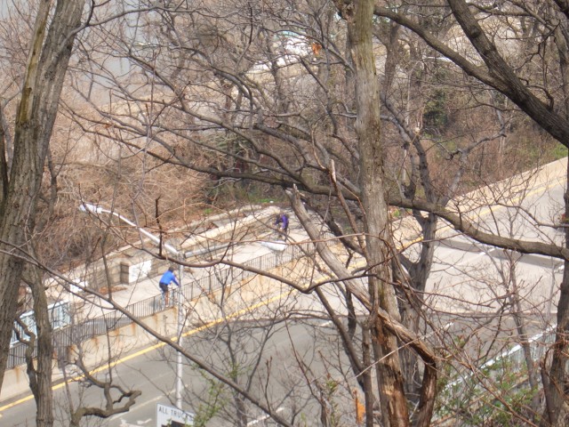 NYC 12-Apr 10 Fort Tryon Park - Cloisters  turned corner see river.JPG