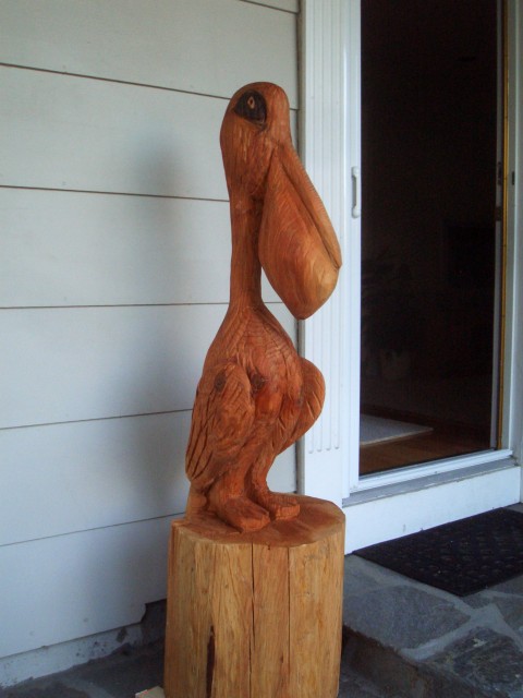 08 Oct Penelope Pelican.JPG