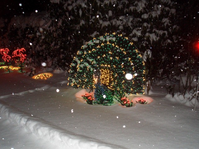 2008 Dec 01 Peacock House - Bellevue.jpg