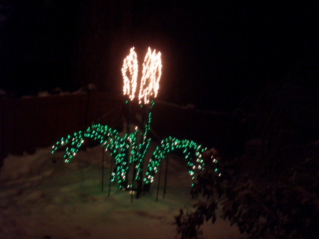 2008 Dec 07 Peacock House - Bellevue.jpg