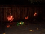2008 Dec critters 07 after dark.JPG