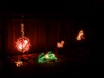 2008 Dec critters 07a after dark.JPG