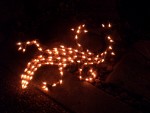 2008 Dec critters 08 after dark.JPG