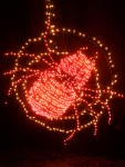 2008 Dec critters 09 after dark.JPG