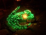2008 Dec critters 10a after dark.JPG