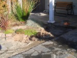 2005 Sep 6 yard update front - removed moss rocks next to flagtones.jpg