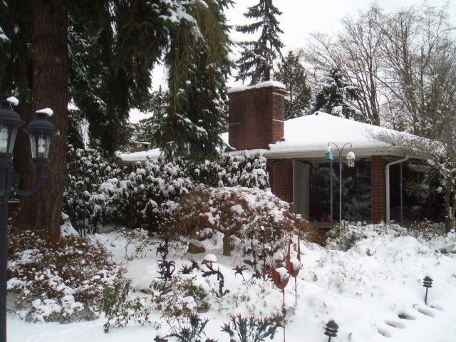 2008 19-Dec 01 Bellevue Parents front yard.jpg