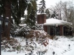 2008 19-Dec 01 Bellevue Parents front yard.jpg