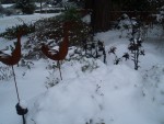 2008 19-Dec 03 Bellevue parents front yard.jpg