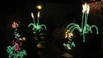 Highlight for Album: McNamara House - Oakland