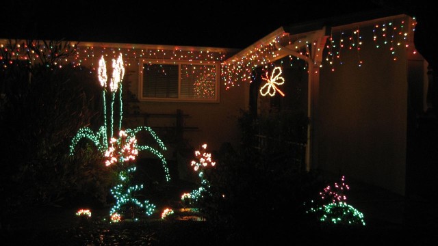 2008 Dec John's photo 3.jpg