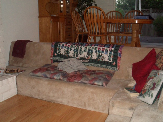 2005 June San Ramon - pit remodel before 008.jpg