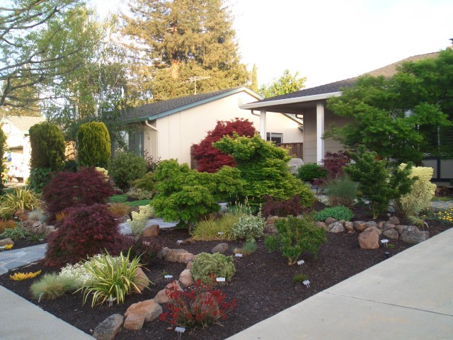 2009 Apr San Ramon 01 Front Yard.JPG