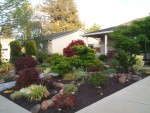 2009 Apr San Ramon 01 Front Yard.JPG