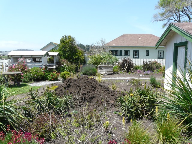 2009 Pescadero 02 Harley Farms garden.JPG