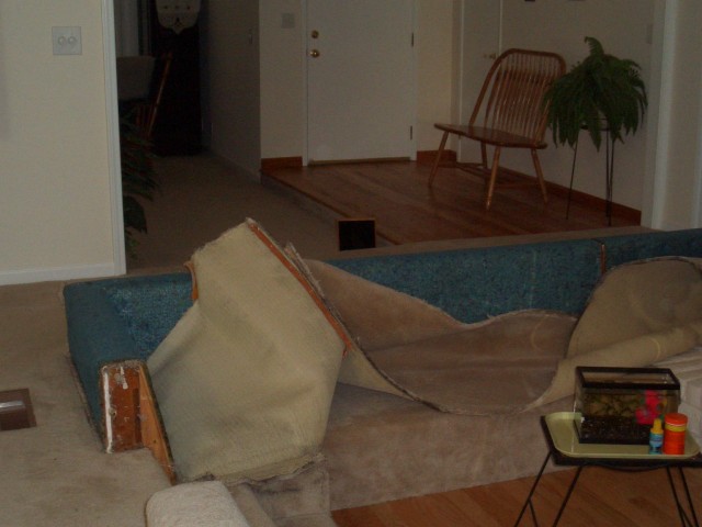 pit 01 2005 July 1st carpet removal begun.jpg